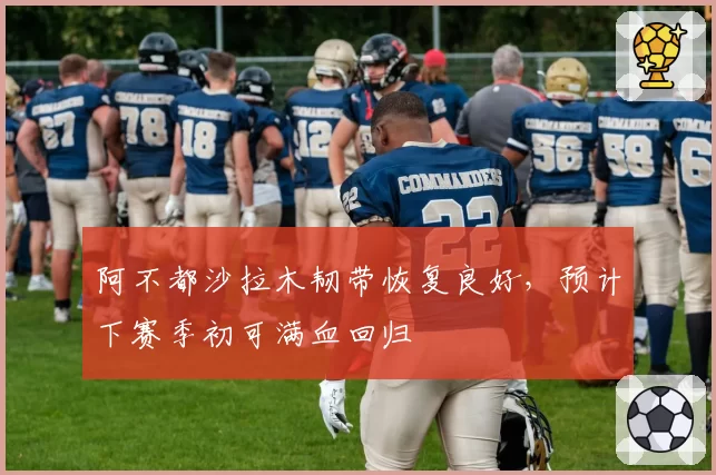 阿不都沙拉木韧带恢复良好,预计下赛季初可满血回归