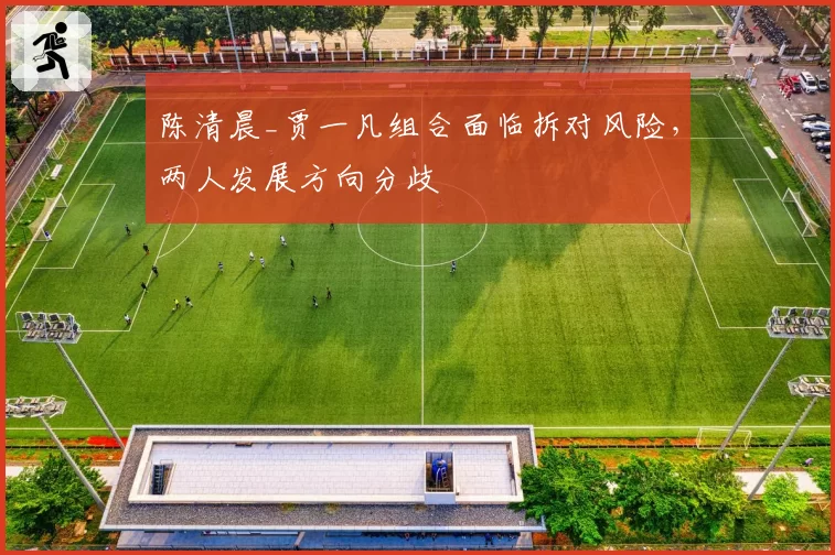 陈清晨_贾一凡组合面临拆对风险，两人发展方向分歧