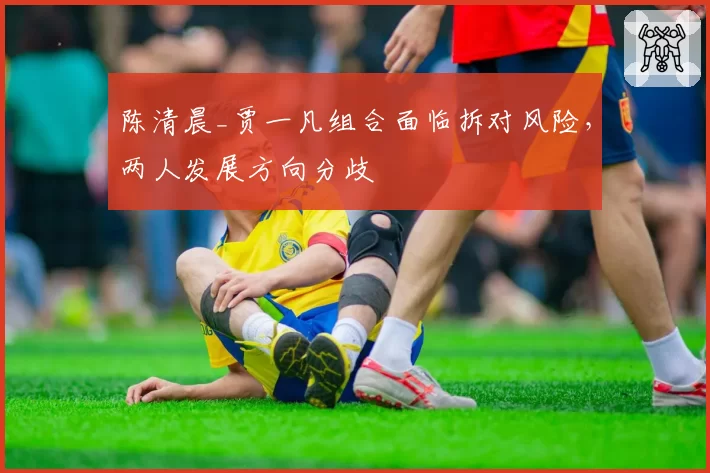 陈清晨_贾一凡组合面临拆对风险，两人发展方向分歧